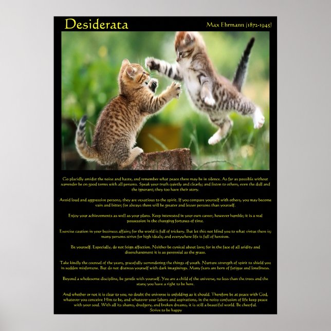 Posters de Desiderata Cat Fight (Frente)