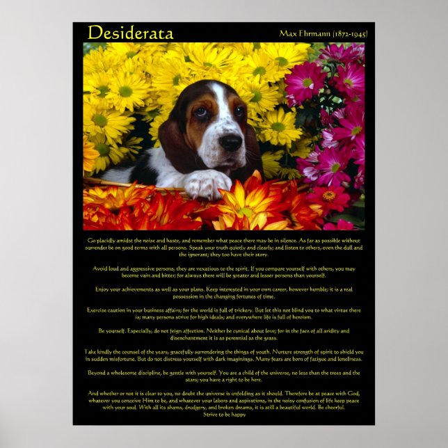 Posters de Desiderata Flower Beagle (Frente)