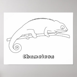 Posters de dibujo de esquema Chameleon