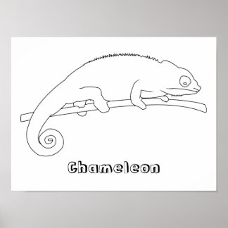Posters de dibujo de esquema Chameleon