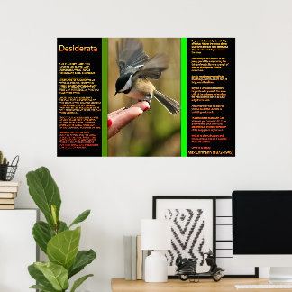 POSTERS de espárragos voladores de DESIDERATA