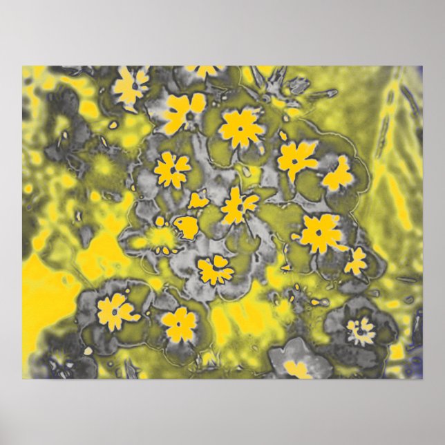 Posters de fotografía de gráficos de arte (Frente)