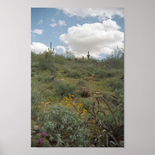 Posters de impresión de arte en primavera sinfónic (Frente)