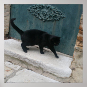 Posters de impresión en Francia para un gato negro