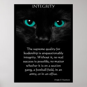 POSTERS DE INTEGRIDAD