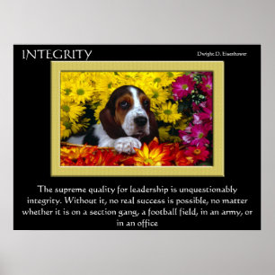 POSTERS DE INTEGRIDAD 5