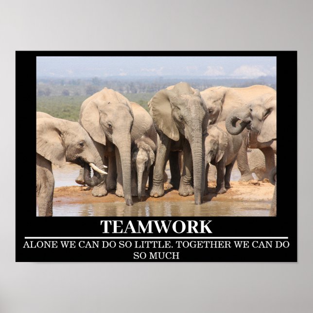 Posters de la vida salvaje elefante en equipo (Frente)