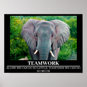 Posters de la vida salvaje elefante en equipo