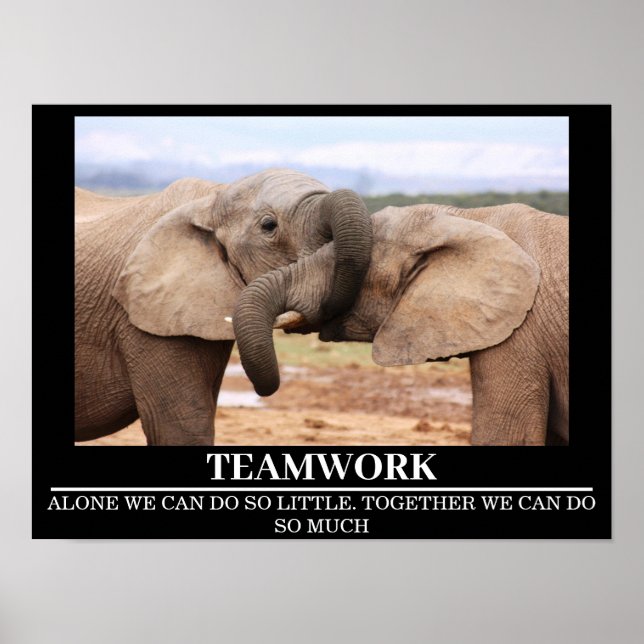 Posters de la vida salvaje elefante en equipo (Frente)