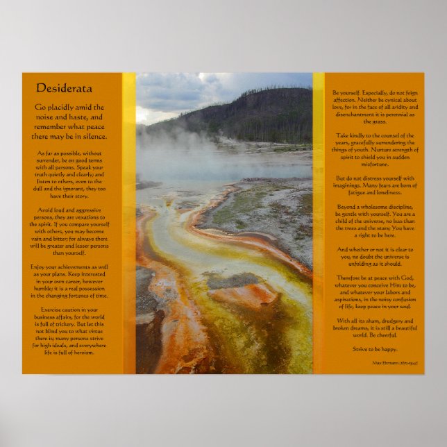 POSTERS de las piscinas termales de DESIDERATA (Frente)
