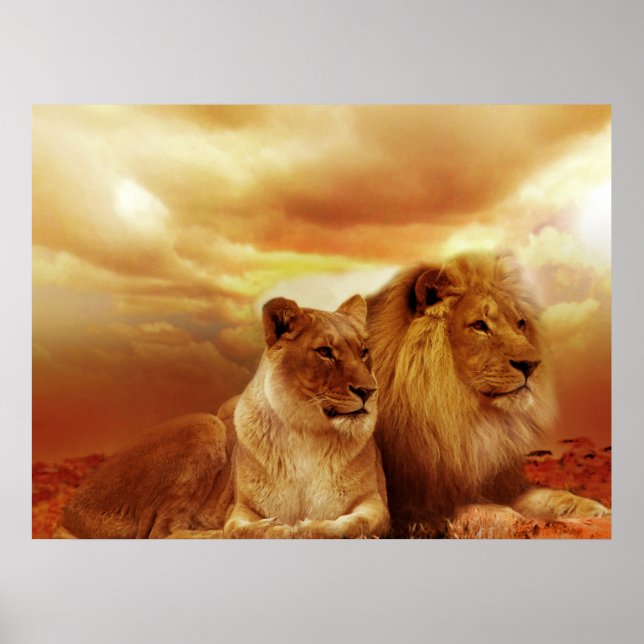 Posters de Lion Pair (Frente)