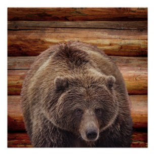 POSTERS DE LOG LOG CABIN GRIZZLY BEAR