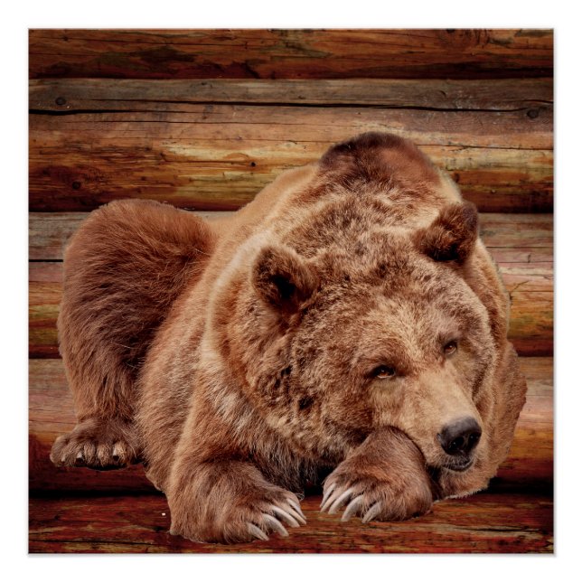 POSTERS DE LOG LOG CABIN GRIZZLY BEAR (Anverso)