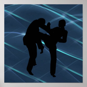 Posters de los artes marciales