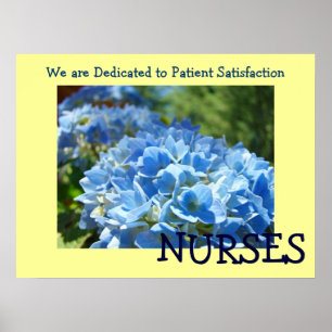 POSTERS de NURSES dedicados a la satisfacción de l