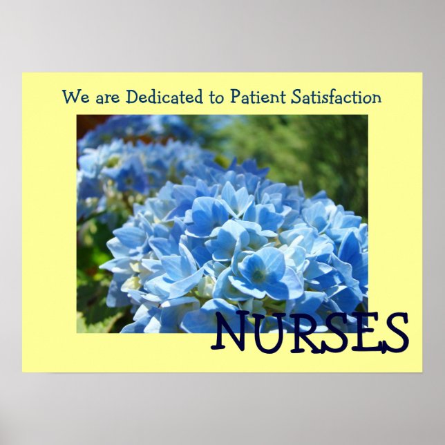 POSTERS de NURSES dedicados a la satisfacción de l (Frente)