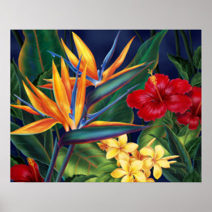 Pósters de Paraíso Tropical