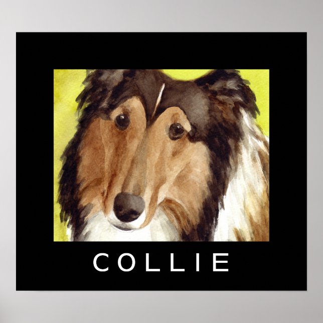 Pósters de perro Collie (Frente)