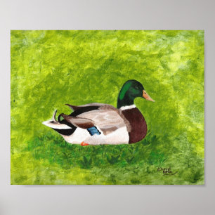 Pósters de pintura de pato real sentado en la hier