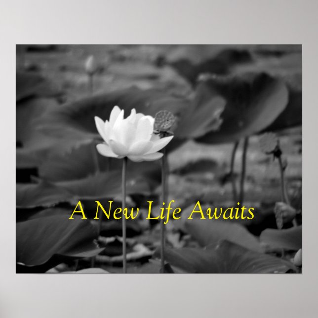 Posters de promoción de la violencia doméstica III (Frente)