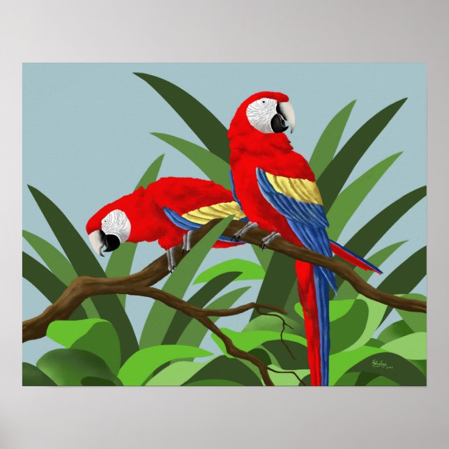 Posters de Scarlet Macaw (Frente)