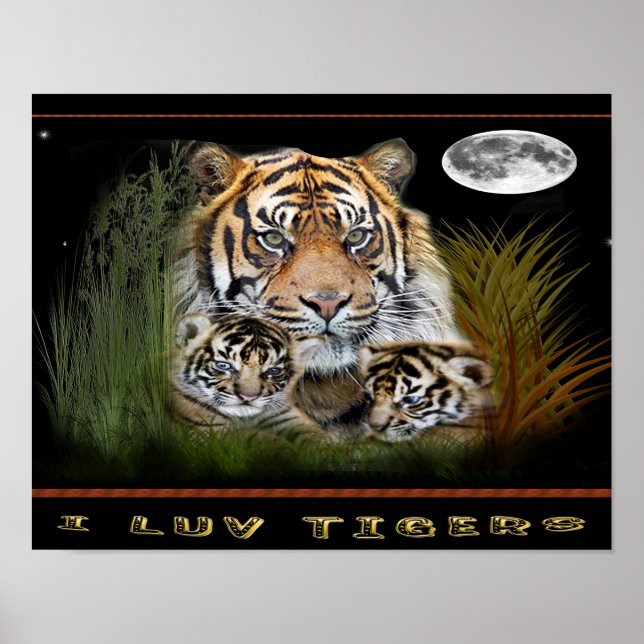 posters de tigre y cachorros (Frente)