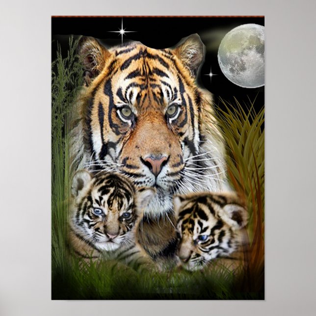 Posters de tigres y cachorros (Frente)
