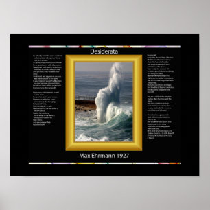 POSTERS DESIDERATA Splash