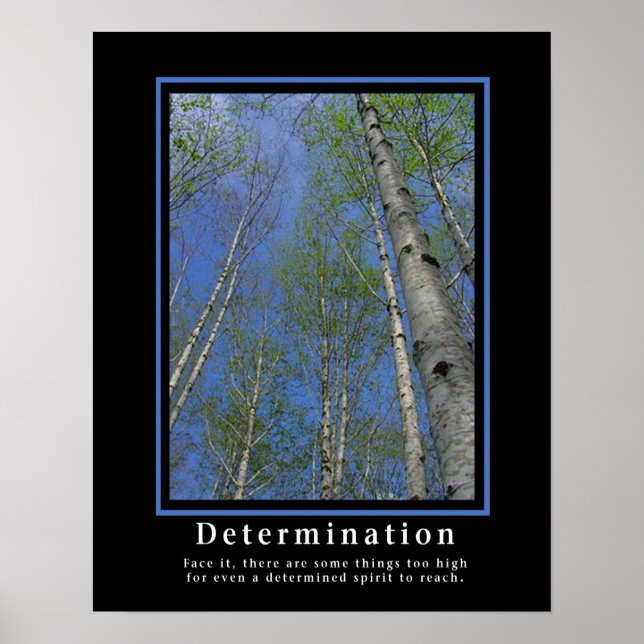 Posters desmotivacionales... Determinación (Frente)