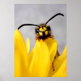 Pósters Divertidos de Avispas