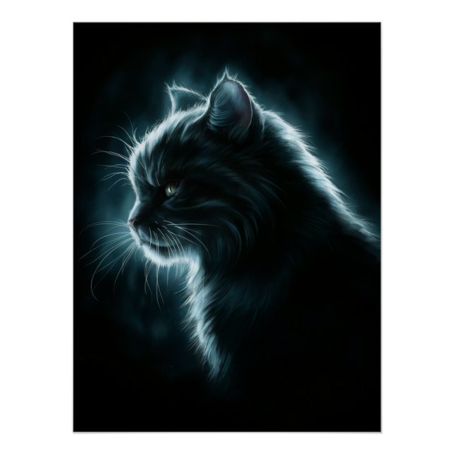 Posters Dives Cat 2 (Anverso)