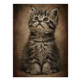 Posters Dives Cat 4