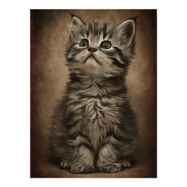Posters Dives Cat 4 (Anverso)
