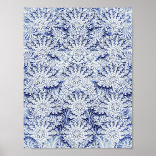 Posters e impresiones