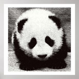 Pósters e Impresiones de Arte de Panda Bebé
