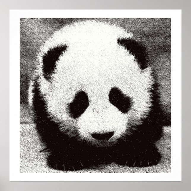 Pósters e Impresiones de Arte de Panda Bebé (Frente)
