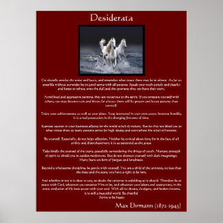 Posters ecuestres árabes blancos de Desiderata