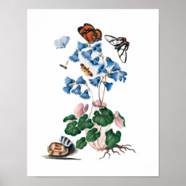 posters florales botánicos