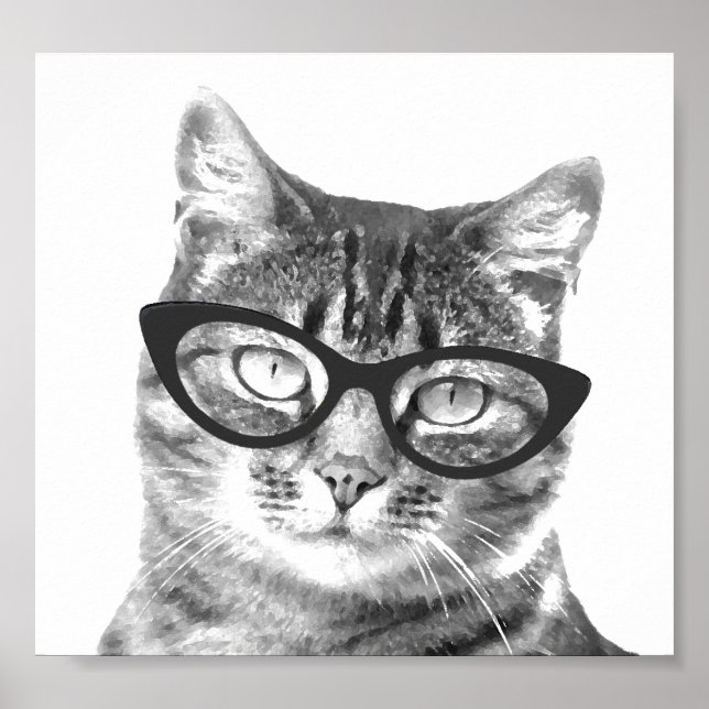Posters graciosos de fotos de gatos (Frente)