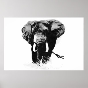 Pósters Impresiones Panorámicas B&W Elefante