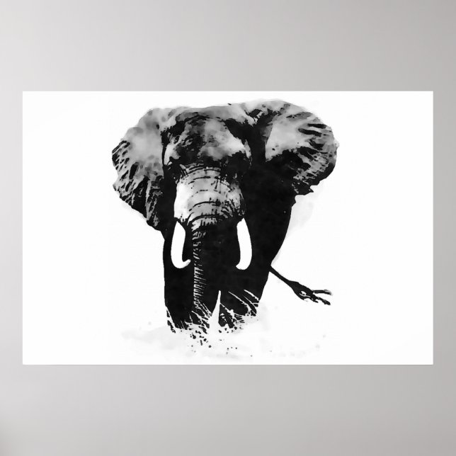 Pósters Impresiones Panorámicas B&W Elefante (Frente)