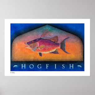 Posters, impresiones y marcos del Hogfish