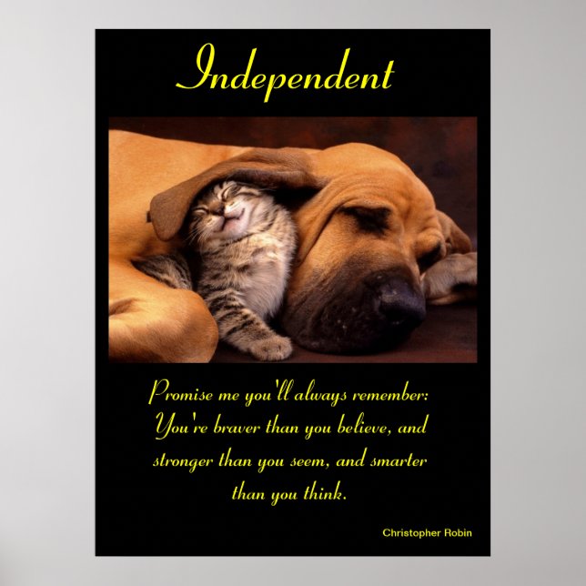 Posters independientes Animal 10 (Frente)