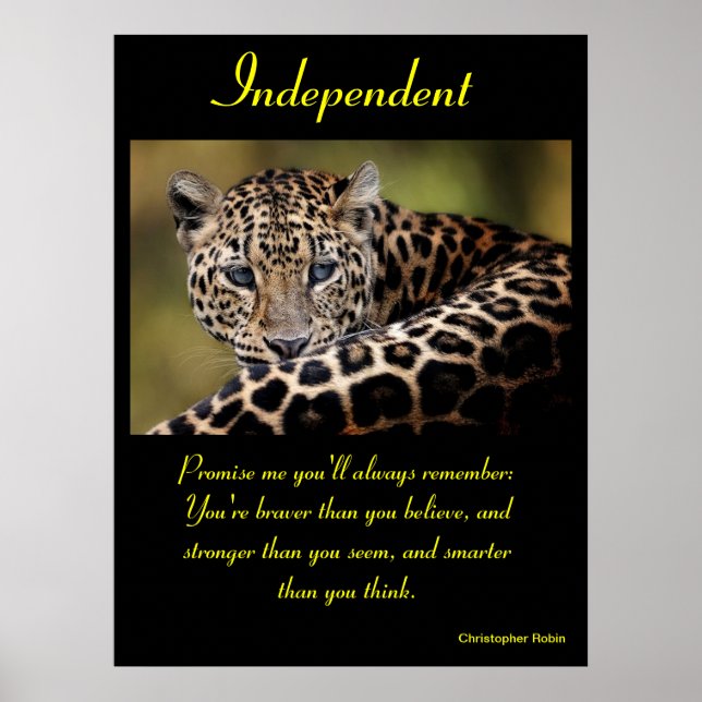 Posters independientes Animal 20 (Frente)