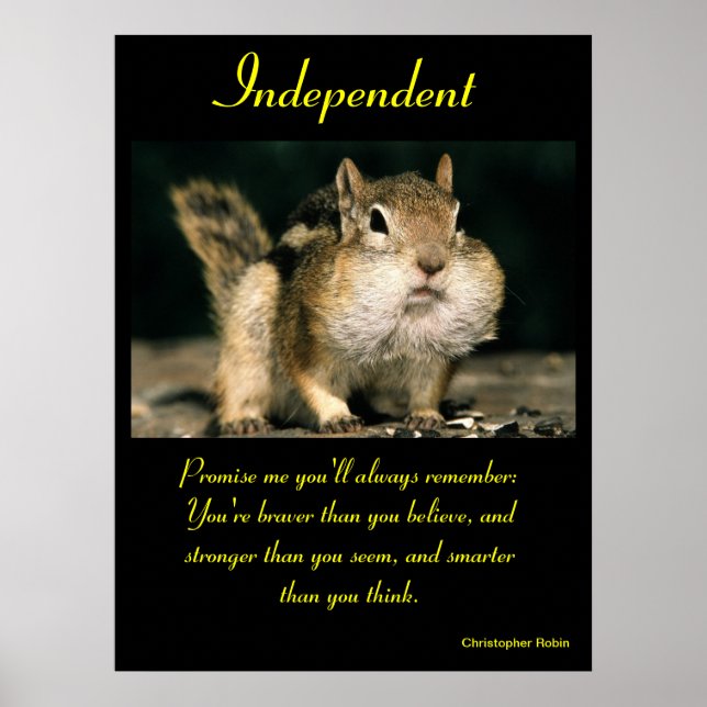 Posters independientes Animal 24 (Frente)