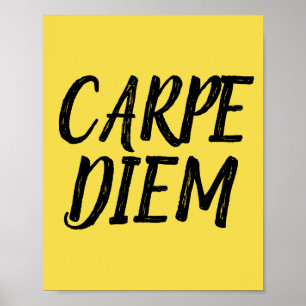 POSTERS motivacionales CARPE DIEM