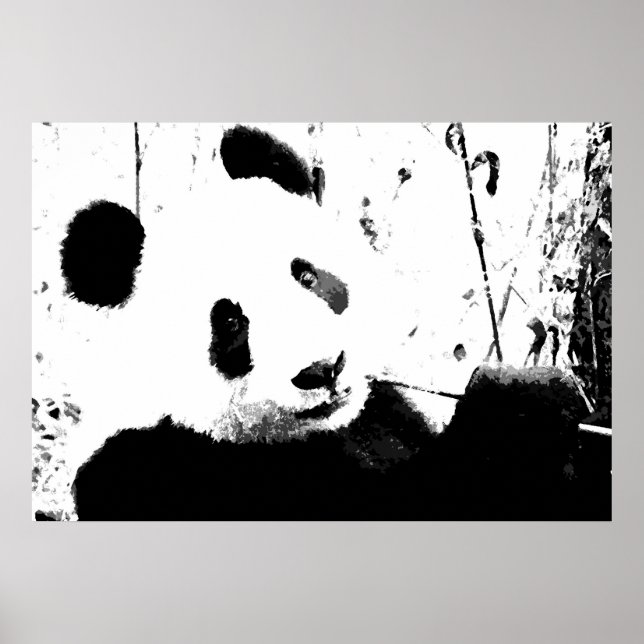 Posters Panda - Cara Panda blanca y negra (Frente)