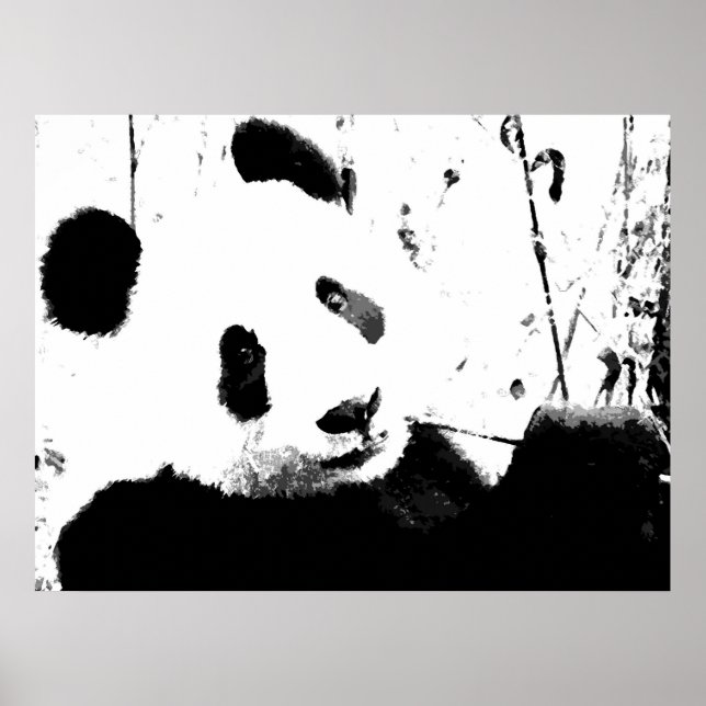 Posters Panda - Cara Panda blanca y negra (Frente)