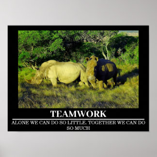 Posters por motivos de vida salvaje Rinocerontes