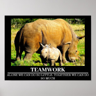 Posters por motivos de vida salvaje Rinocerontes